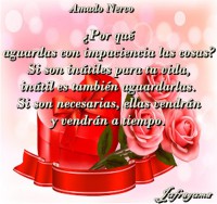 /album/fotogaleria/por-que-jpg/